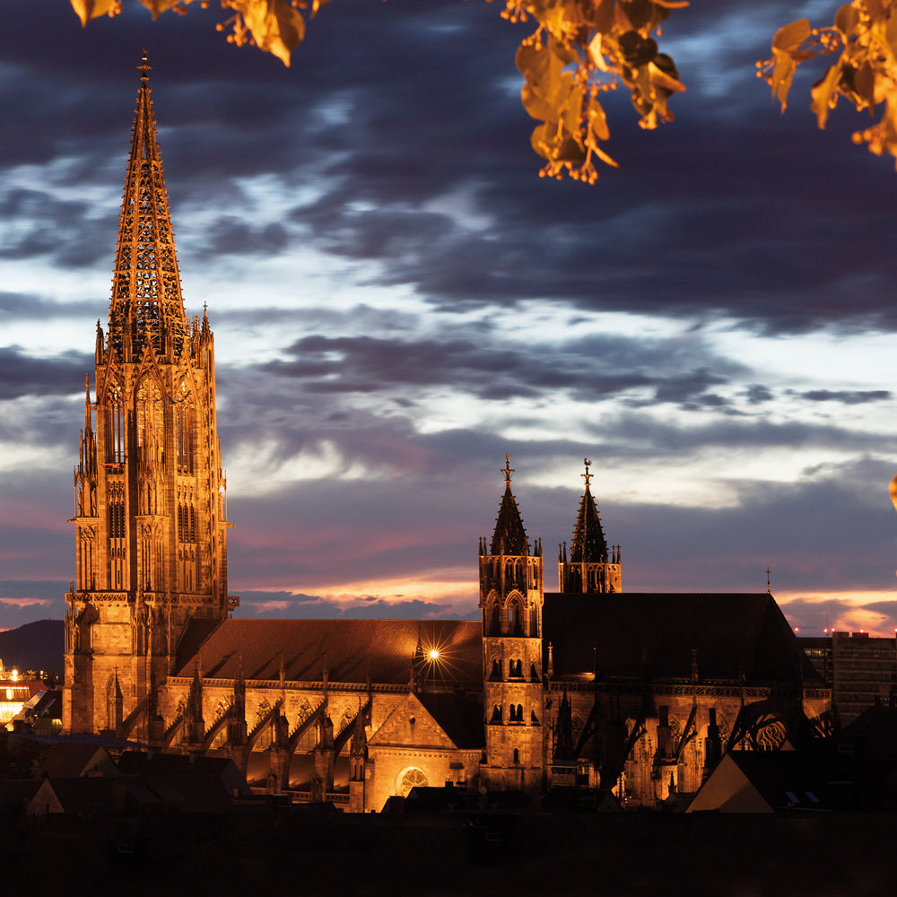 Freiburger Münster Foto